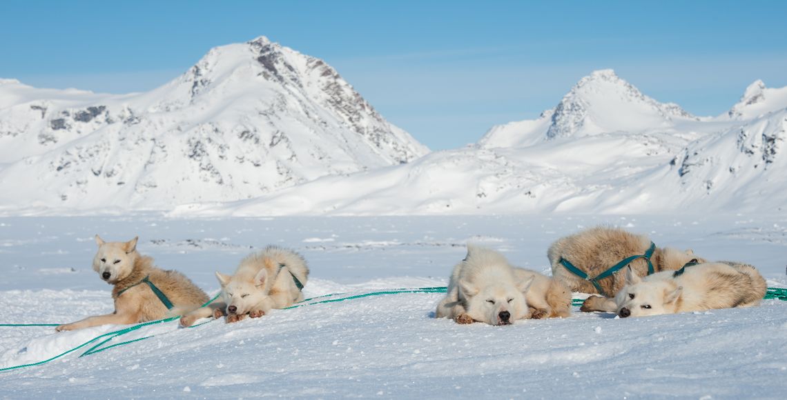 lorem ipsum dolor sit